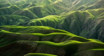 The endless green layers