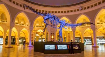 Dubai to Witness Middle East’s First Dinosaur Auction