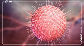 First Case of Corona Virus Confirmed in the UAE
