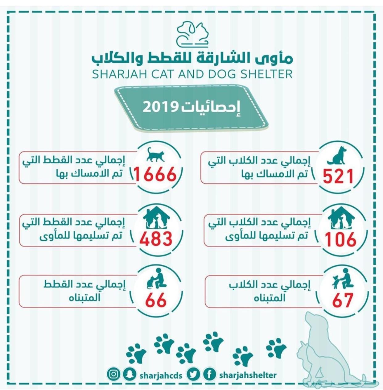 Sharjah Cat & Dog Shelter Takes In 483 Cats and 106 Dogs in 2019 Sharjah Cat & Dog Shelter Takes In 483 Cats and 106 Dogs in 2019