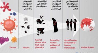 Researchers studying how COVID-19 virus jumps from animals to humans