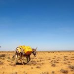 somaliland-sheikh district