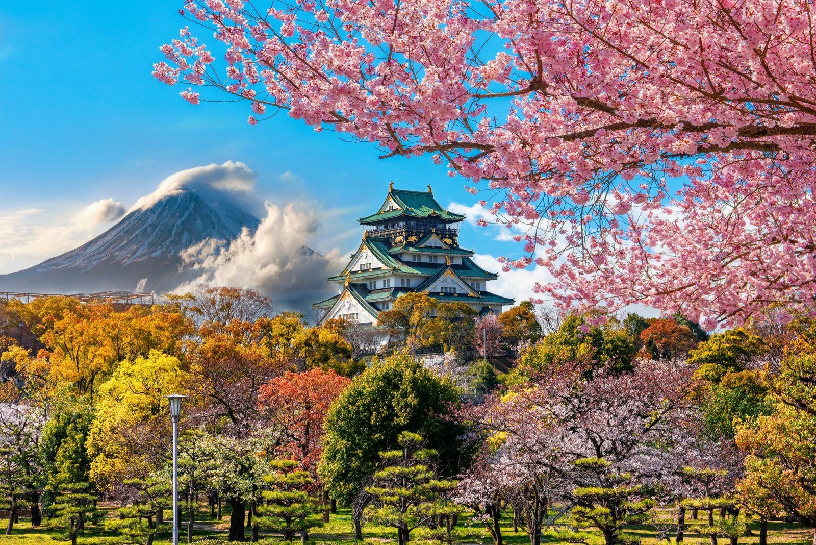 cherry blossom season in japan / Shutterstock