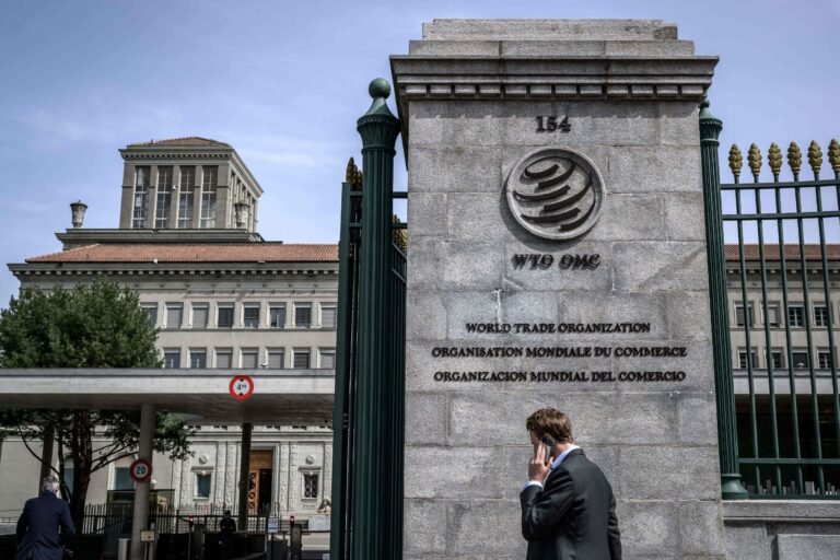 WTO Expects Recovery of International Trade in 2024