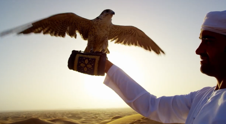 Al Asayl Exhibition 2024 kicks off at Expo Al Dhaid on September 26