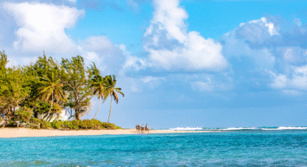 Experience the Charm of Barbados: GCC Tourist Arrivals Surge by 31% in 2024