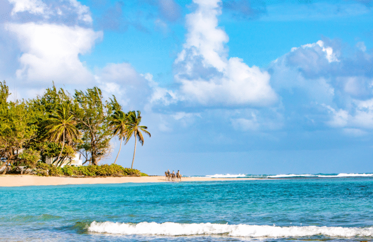 Experience the Charm of Barbados: GCC Tourist Arrivals Surge by 31% in 2024