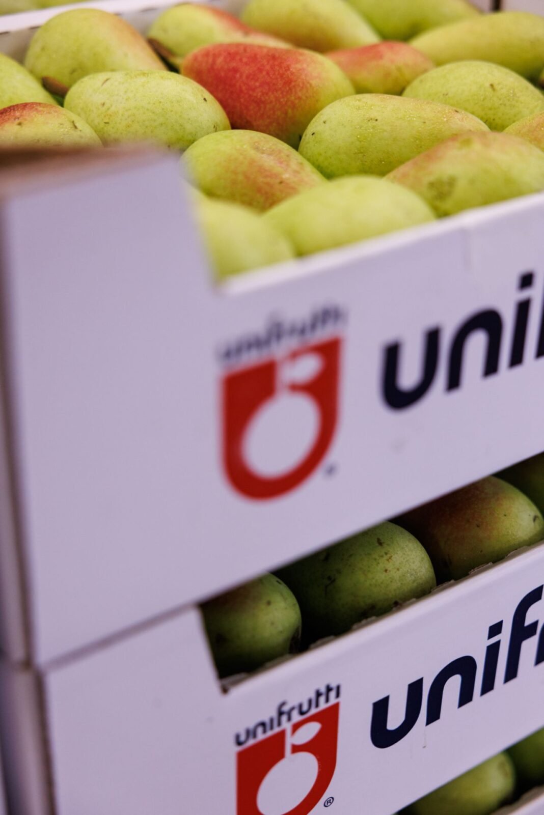 Fruit giant Unifrutti cuts data recovery time with Veeam tech Fruit giant Unifrutti cuts data recovery time with Veeam tech