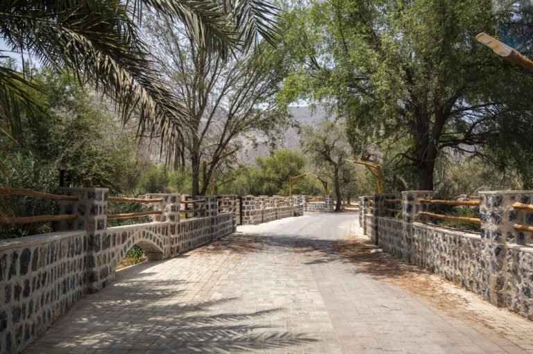 Fujairah’s Heritage Glows: Qidfa Wins FAO Honour