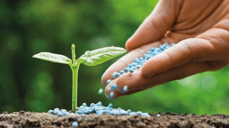 KU Develops Nanocellulose Tech to Boost Soil Health