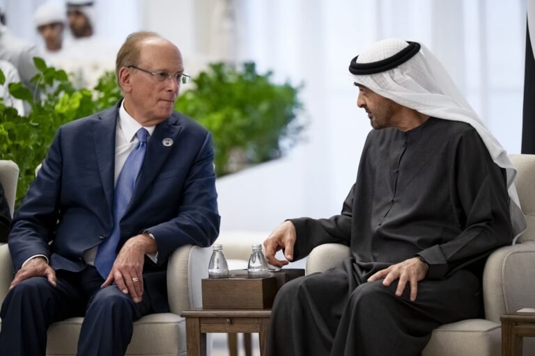 UAE President meets BlackRock, discusses ties with Morocco king