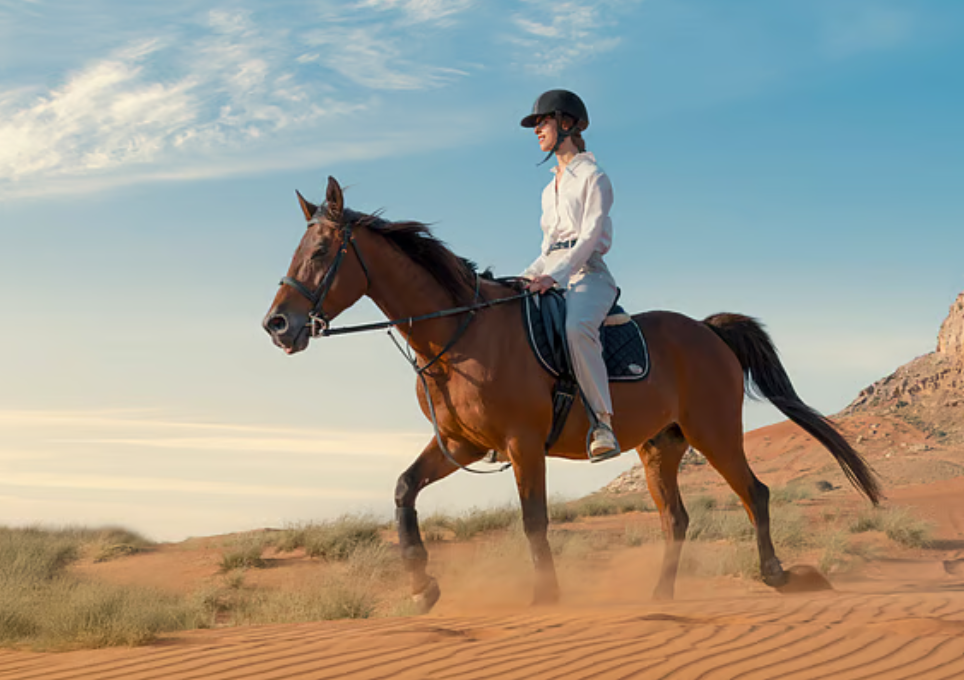 UAE’s Mleiha National Park in Race for Regional Tourism Award UAE’s Mleiha National Park in Race for Regional Tourism Award