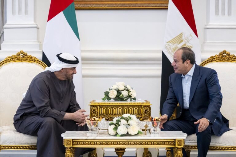 UAE President meets Egyptian President in El Alamein