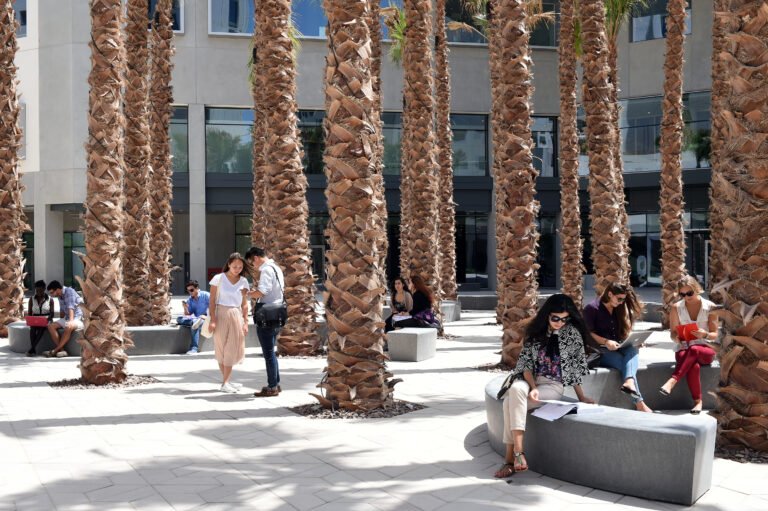 UAE launches new award to honor universities and teachers