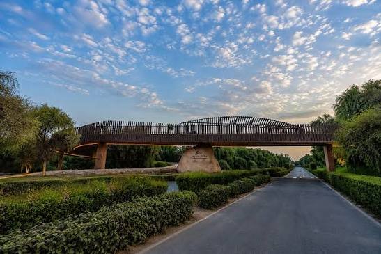 Mushrif National Park gets new 102-metre outdoor bridge Mushrif National Park gets new 102-metre outdoor bridge